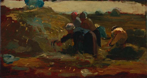 Donne al lavoro in un campo