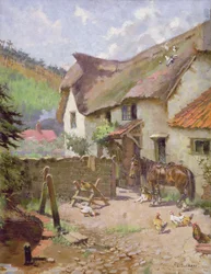 Nel giardino