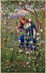 Il bosco di rovi