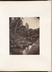 [Fiume a Kupang]