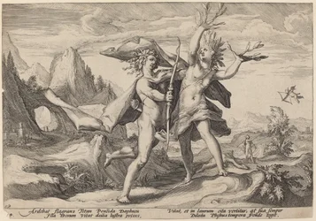 Dafne trasformata in albero di alloro