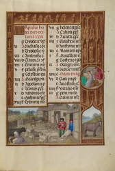 Animali da Fattoria, Mungitura e Produzione di Burro; Segno Zodiacale del Toro