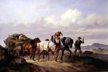 Una squadra di cavalli da tiro