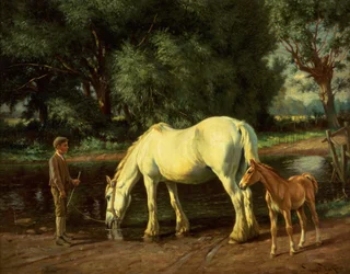Una giumenta e il suo puledro al guado (olio su tela)