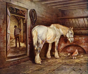 La fine della giornata - il cavallo della fattoria torna a casa