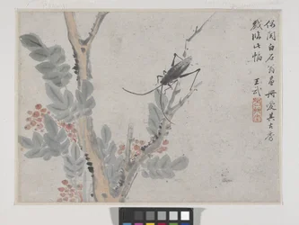 Insetto e albero dopo Shen Zhou