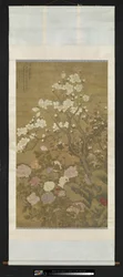 Peonia e magnolia