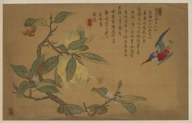 Uccello, frutta e fiori