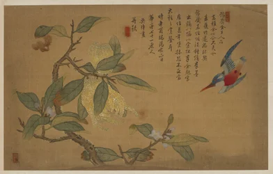 Uccello, frutta e fiori, dinastia Qing, 1741