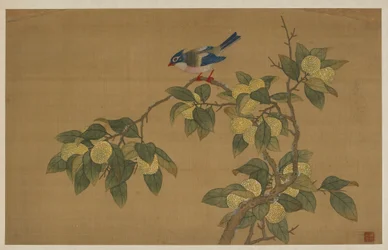 Uccello e frutta