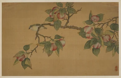 Uccello e Frutta