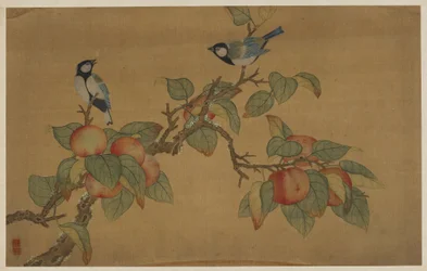 Uccelli e frutta