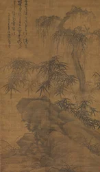 Bambù, vecchio albero e roccia