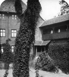 Tiglio in un cortile, Norimberga, Baviera, Germania, c1900