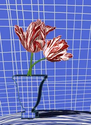 Tulipani rossi, griglia blu