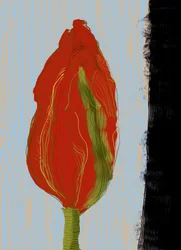 Fioritura rosso vivace