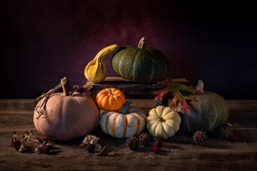 Zucca del raccolto autunnale