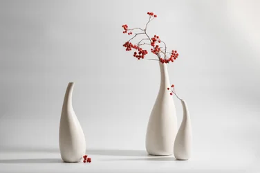 Eleganti vasi con bacche rosse