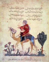 Un viaggiatore su cammello. Miniatura dal "Maqamat" di Abu Mohammed al-Kasim ibn Ali Hariri, illuminata da Yahya Mahmud al-Wasiti nel 1237, Parigi, B.N.