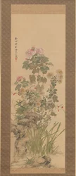 Fiori d
