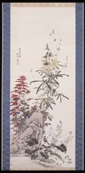 Fiori bellissimi: i dieci amici