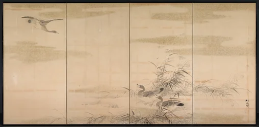 Oche, canne e acqua, 1800
