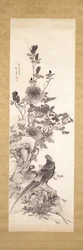 Peonie E Fagiani Dorati