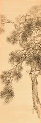 Pino, prima del 1856