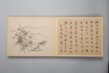 Eleganza raffinata nelle quattro stagioni Shiji seiga, Album di dipinti floreali, 1844