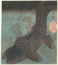 Carpa e pino