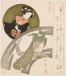 Geisha e pavone su fiori di pruno; Una serie di dieci stampe per gli Honchôren (titolo della serie); Honchôren jûbantsuzuki (titolo della serie sull