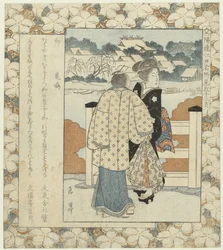 Lepre: Kamejima