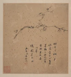 Prugna in fiore