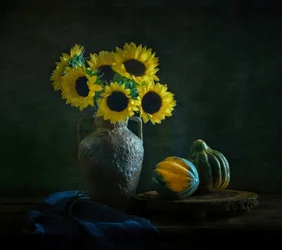 Girasoli e zucche malinconici