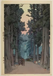 Viale di Cryptomeria