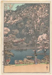 Otto scene di fiori di ciliegio: Arashiyama