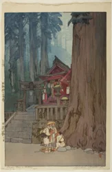 Giornata nebbiosa a Nikko