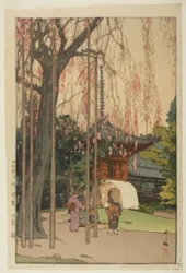 Il ciliegio a Kawagoe