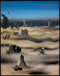 Terra delle ombre