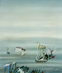 Meraviglie dei mari