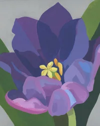 Fiore viola dai colori vivaci