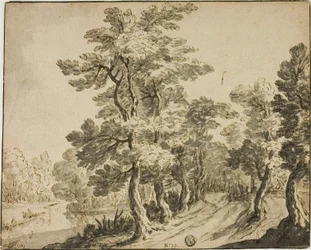 Strada tra alberi frondosi vicino al ruscello