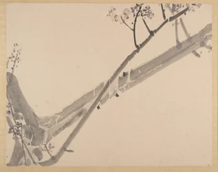 Pittura
