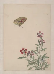 Uccelli, insetti e fiori