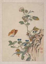 Uccelli, insetti e fiori