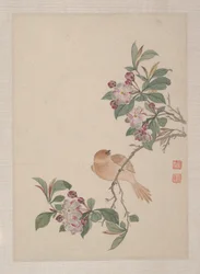 Uccelli, insetti e fiori