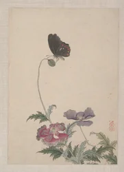 Uccelli, insetti e fiori