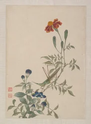 Uccelli, insetti e fiori