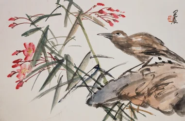 Foglia da un album di dipinti di fiori e uccelli