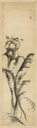 Uccelli e anatre